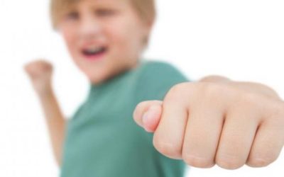 L’American Psychological Association (APA) réaffirme le lien jeux vidéos violents – agressivité.